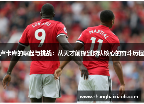 卢卡库的崛起与挑战：从天才前锋到球队核心的奋斗历程