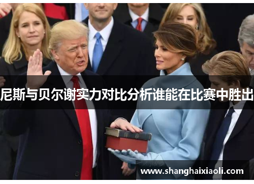 尼斯与贝尔谢实力对比分析谁能在比赛中胜出